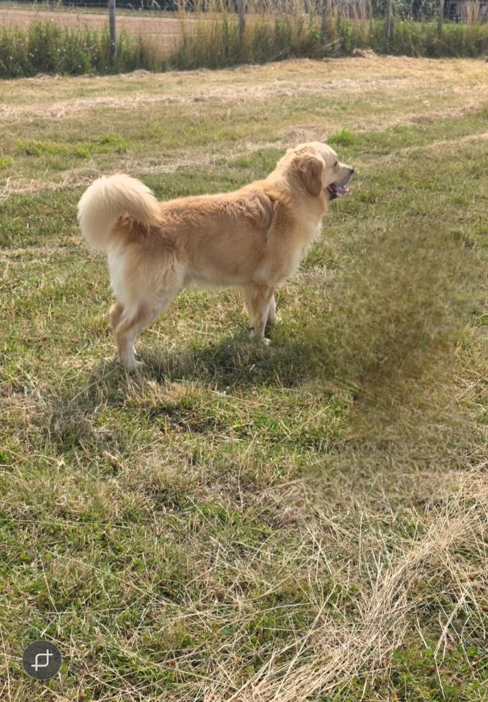 Un bo-gosse Du Clos De La Verdrie