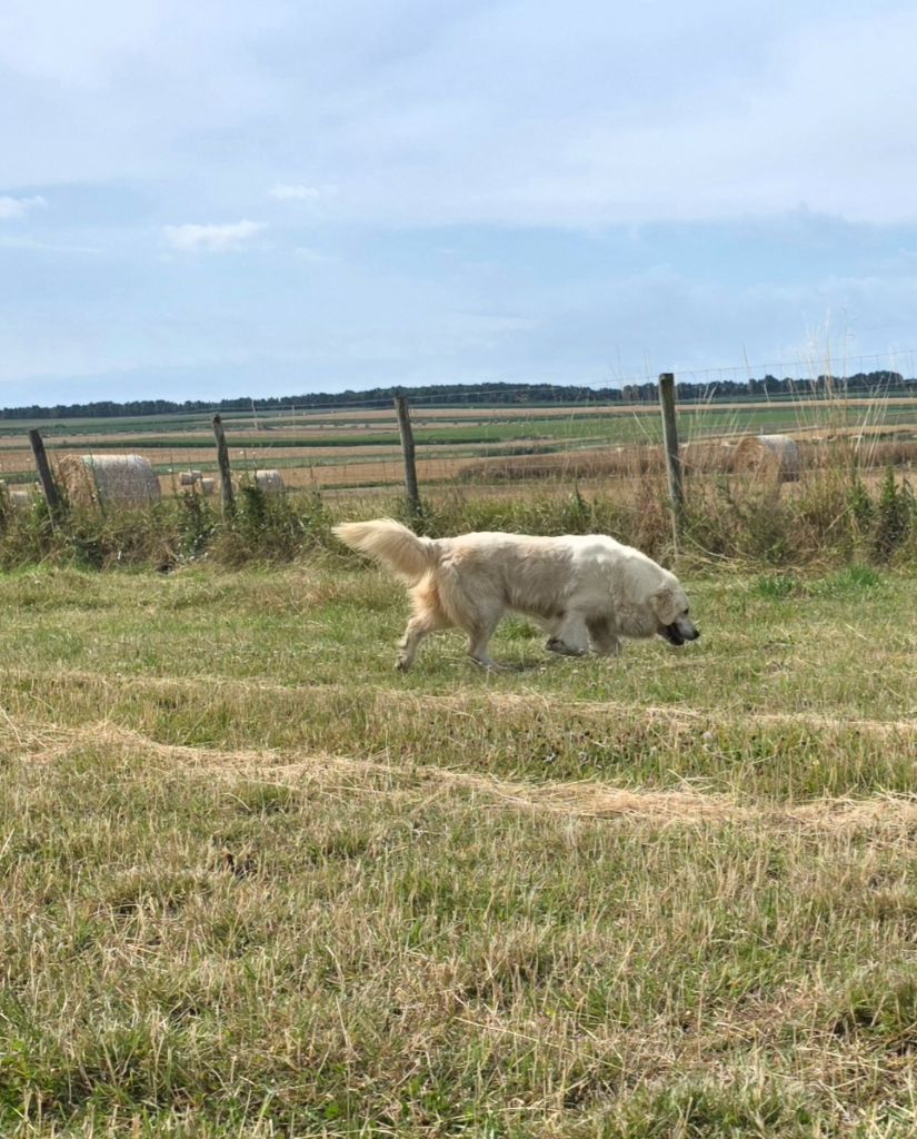 Sissi l'imperatrice pheline d'Edennefamily