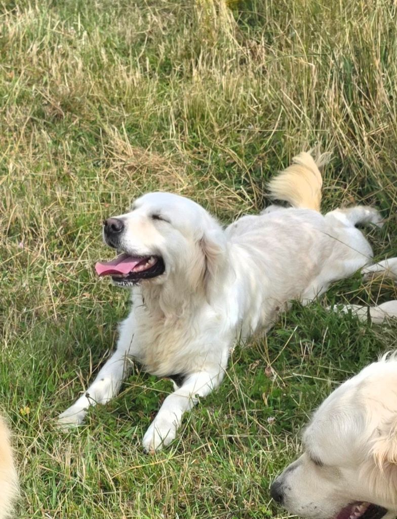 Sidonie phéline aux champs du madison